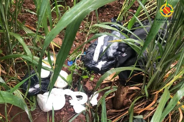 Bope encontrou 40kg de explosivos em área de mata do Gama