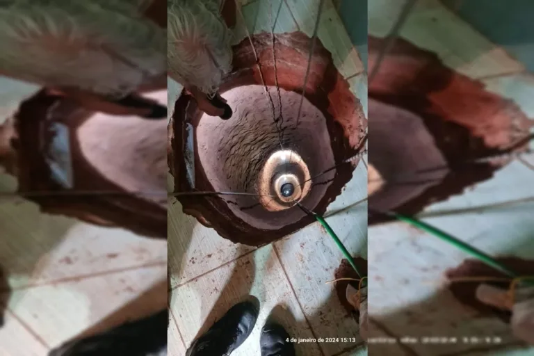 Homem sonhou com ouro e “vendeu tudo o que tinha” para cavar buraco