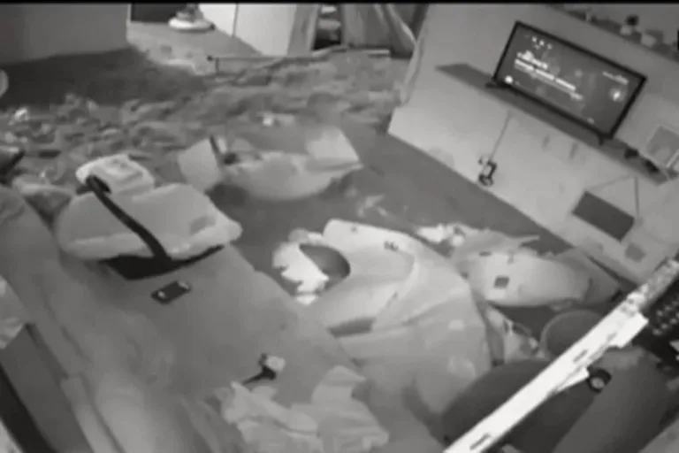 Imagens chocantes: enchente toma conta de casa após chuvas no DF