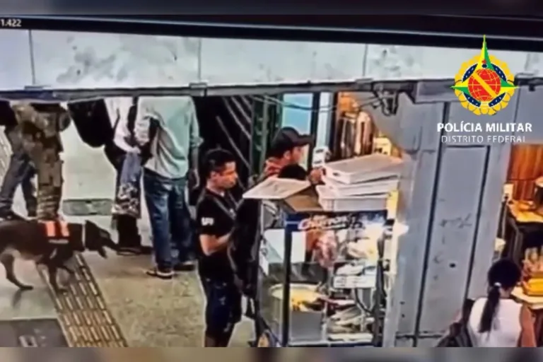 Traficante é preso na Rodoviária após esbarrar em cão da PMDF