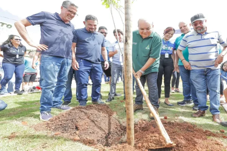 GDF promete plantio de 100 mil mudas de espécies do Cerrado em 2024