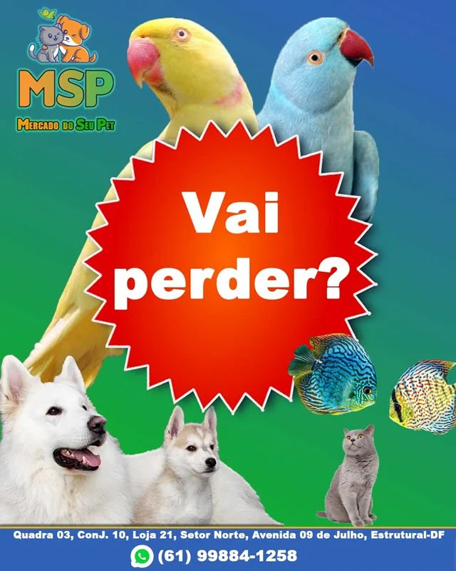 Mercado Do Seu Pet: Tudo para seu PET sem sair de casa!