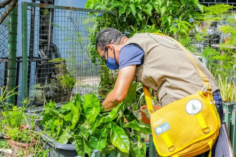 Deputados aprovam nomeação de 150 agentes de vigilância ambiental