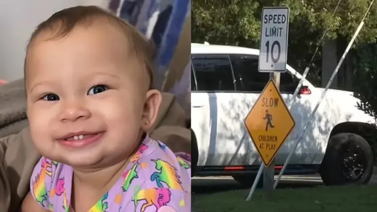 Bebê e cachorro morrem após serem deixados em carro por 6 horas