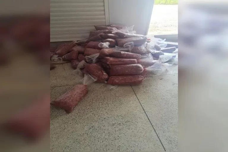 Loja do DF é interditada após ser flagrada vendendo carne fake