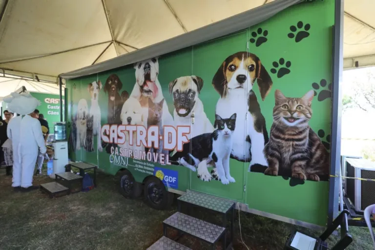 Campanha de Castração de Animais e Capacitação Profissional chega à Cidade Estrutural