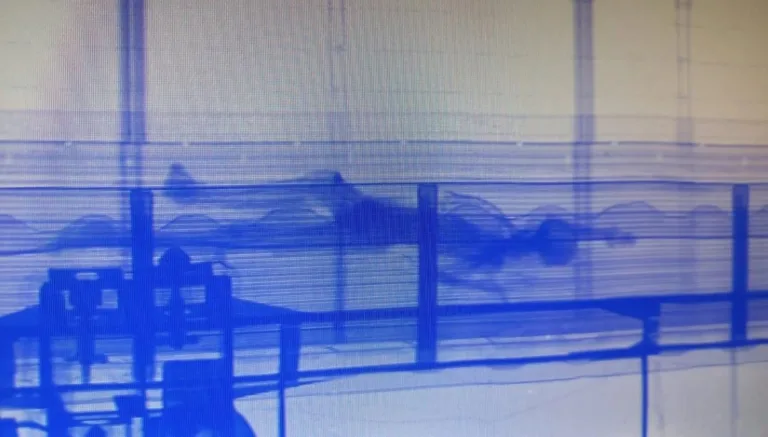 Veja imagens de corpo encontrado em contêiner no Porto de Santos
