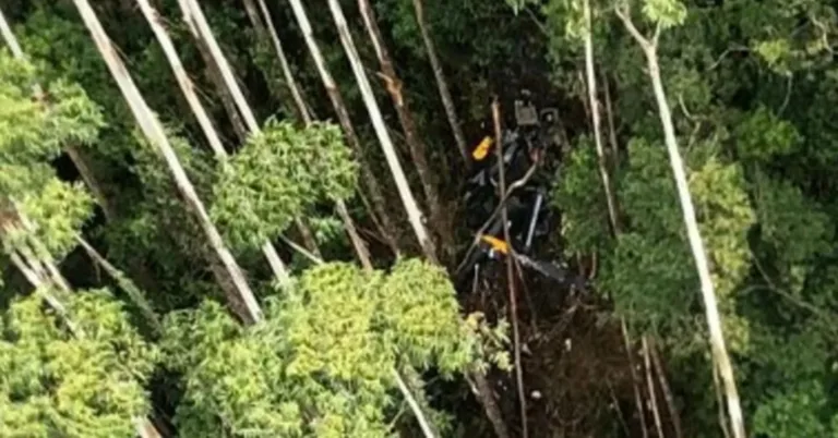 Helicóptero que sumiu com 4 a bordo é encontrado em Paraibuna (SP)