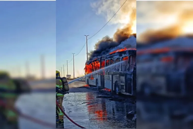 Vídeo. Motorista percebe motor em chamas e manda passageiros descerem de ônibus no DF