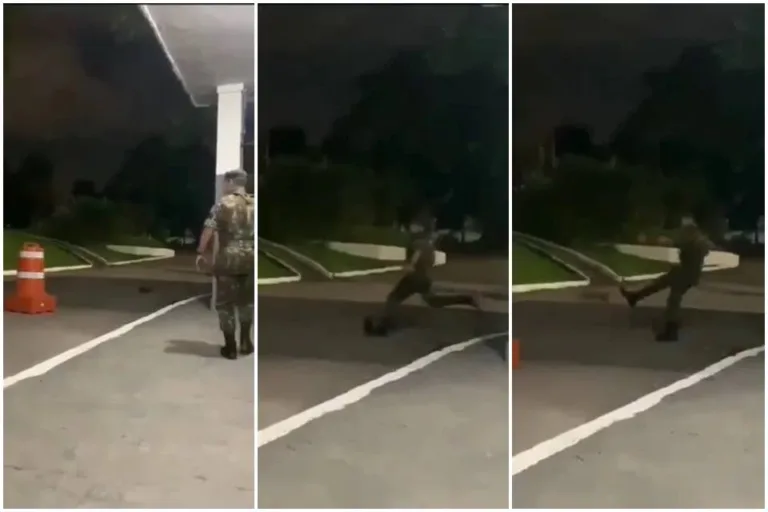 Exército investiga militar que chutou animal e o fez “voar”. Vídeo