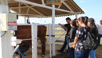 Foto: Divulgação/Emater-DF