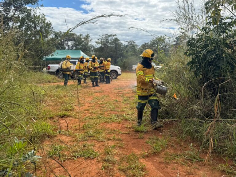 GDF inicia queima controlada em áreas de preservação para evitar grandes incêndios no DF