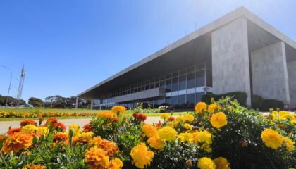 Foto: Divulgação/Agência Brasília