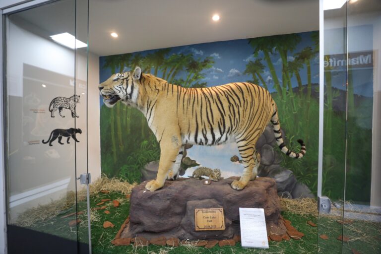 Museu de Ciências Naturais reabre no Zoológico de Brasília