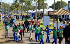 Foto: Divulgação/Secti-DF
