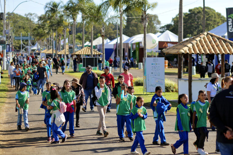 Foto: Divulgação/Secti-DF