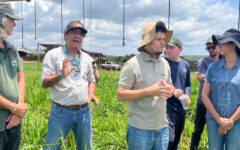BDMG abre curso gratuito sobre agricultura regenerativa em Minas