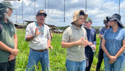 BDMG abre curso gratuito sobre agricultura regenerativa em Minas
