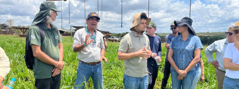 BDMG abre curso gratuito sobre agricultura regenerativa em Minas