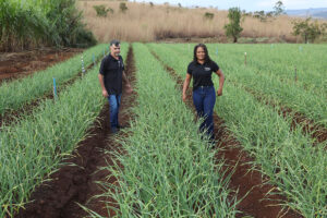 Produtores beneficiados pelo crédito rural no DF