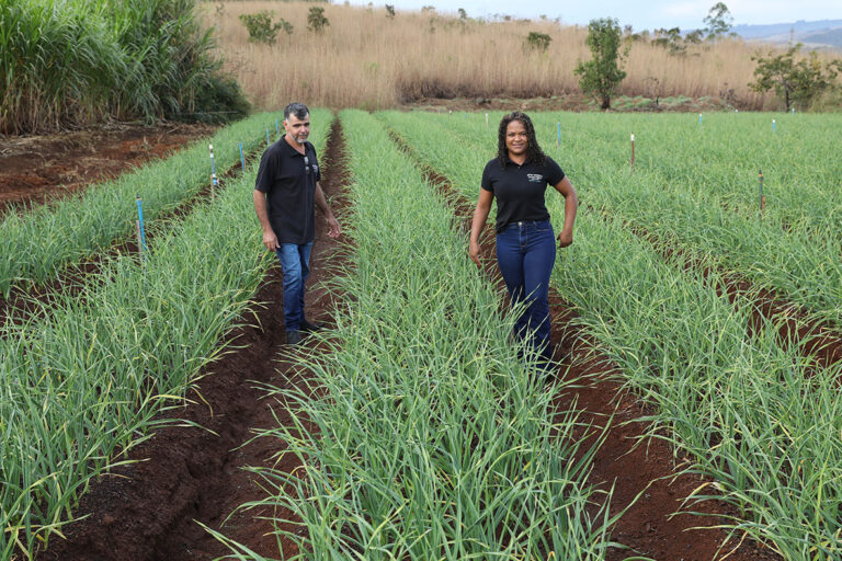 Produtores beneficiados pelo crédito rural no DF