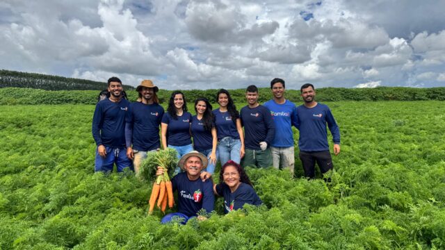 Família trabalha no cultivo de morangos em Brazlândia