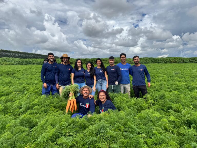 Família trabalha no cultivo de morangos em Brazlândia