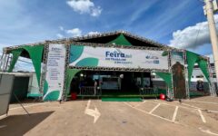 Feira do Trabalho e do Campo reúne agricultura familiar e economia solidária no Distrito Federal