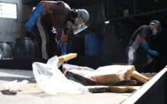 Mais de 50 toneladas de drogas foram destruídas no DF desde 2019