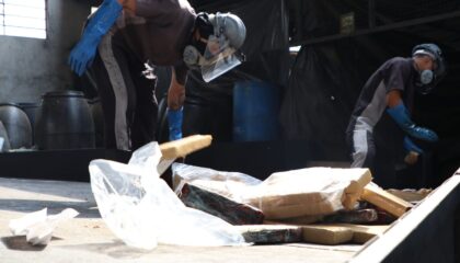 Mais de 50 toneladas de drogas foram destruídas no DF desde 2019