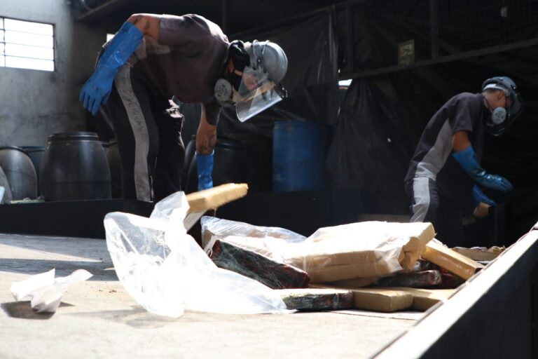 Mais de 50 toneladas de drogas foram destruídas no DF desde 2019
