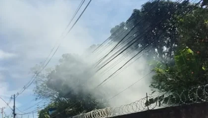 Fumaça provocada por queima irregular em Vicente Pires