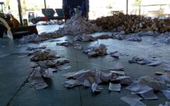 Documentos da Semob são preparados para reciclagem
