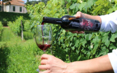 Vinhos de inverno de Minas Gerais premiados em concurso internacional