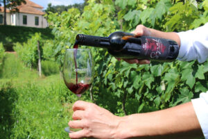 Vinhos de inverno de Minas Gerais premiados em concurso internacional