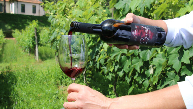 Vinhos de inverno de Minas Gerais premiados em concurso internacional