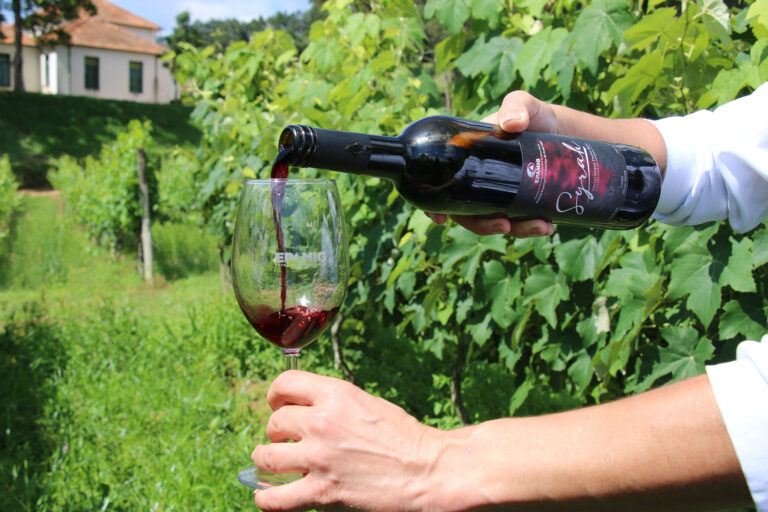 Vinhos de inverno de Minas Gerais premiados em concurso internacional
