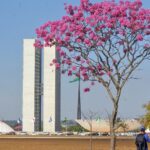 Início da semana terá frio pela manhã, calor à tarde e chance de chuva no DF