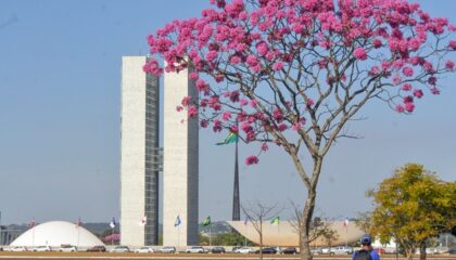 Início da semana terá frio pela manhã, calor à tarde e chance de chuva no DF