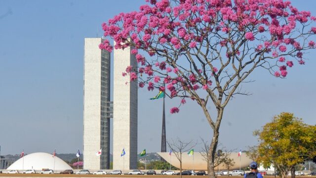 Início da semana terá frio pela manhã, calor à tarde e chance de chuva no DF