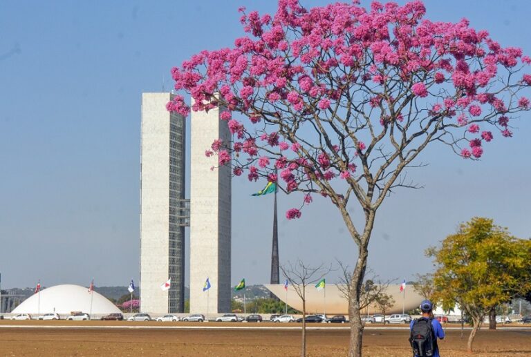 Início da semana terá frio pela manhã, calor à tarde e chance de chuva no DF