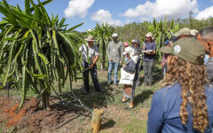 Atendimento técnico a produtores rurais no Distrito Federal