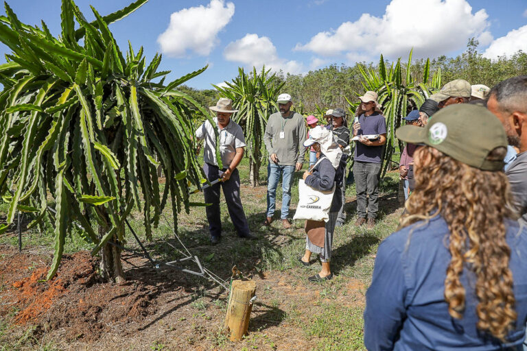 Atendimento técnico a produtores rurais no Distrito Federal