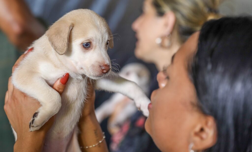 Tutora segura filhote de cachorro durante atendimento veterinário
