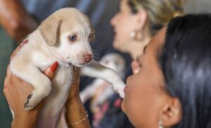 Tutora segura filhote de cachorro durante atendimento veterinário