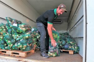 Trabalhador organiza sacos de hortaliças destinados à Cesta Verde