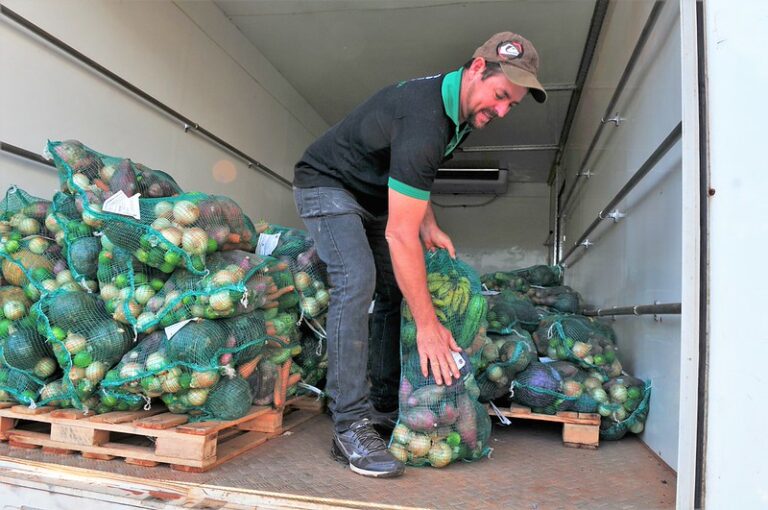 Trabalhador organiza sacos de hortaliças destinados à Cesta Verde