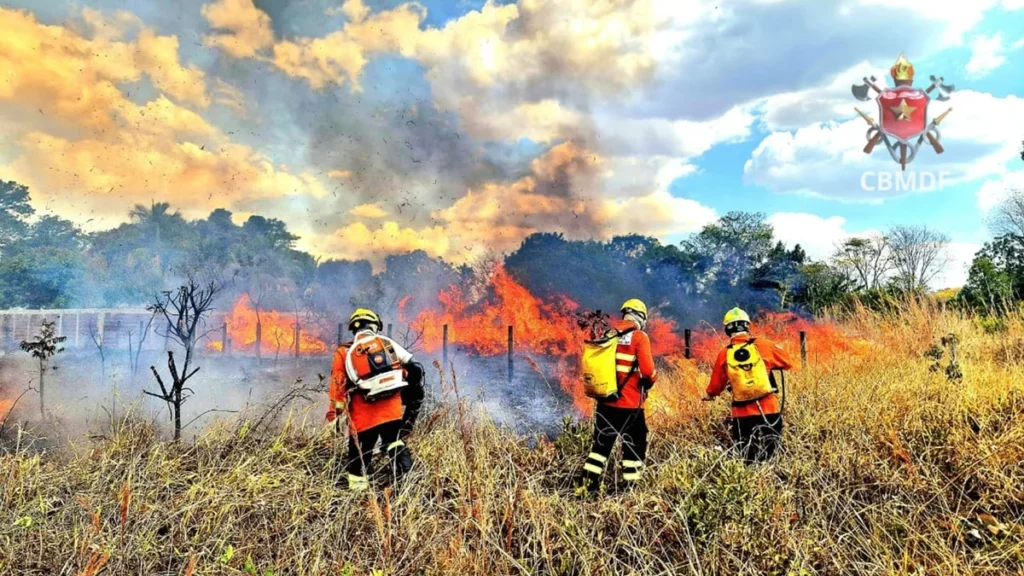 DF registra 46 incêndios em vegetação em apenas um dia