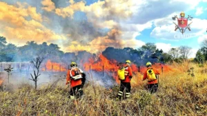 DF registra 46 incêndios em vegetação em apenas um dia