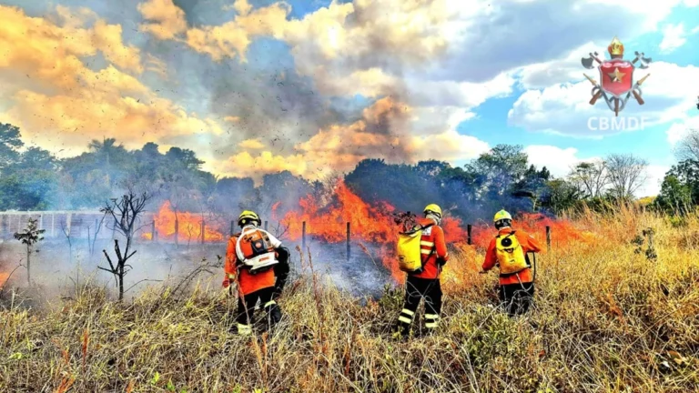 DF registra 46 incêndios em vegetação em apenas um dia